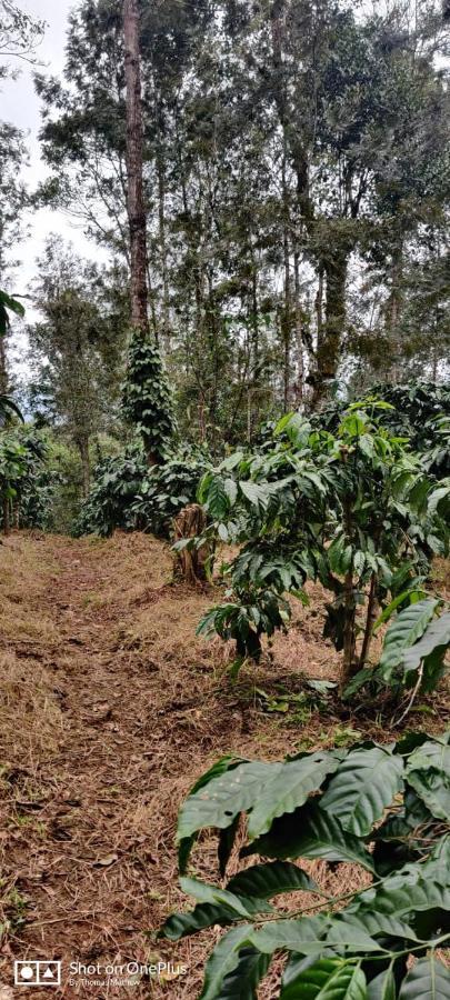 La Paz Coorg Homestay At Madikeri Town Bagian luar foto
